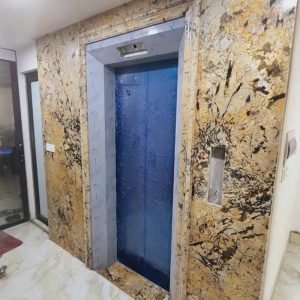 Đá ốp thang máy TM24